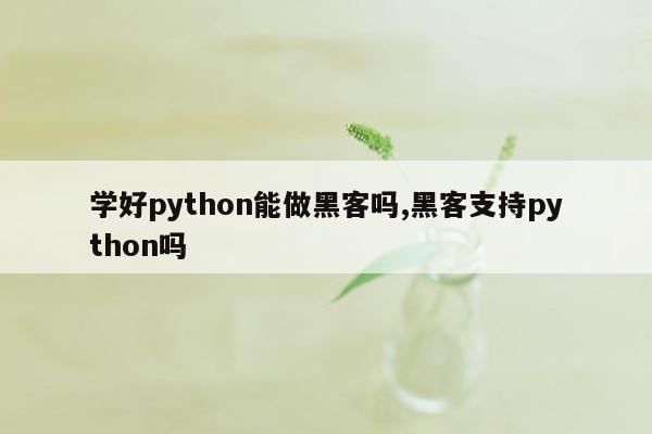 学好python能做黑客吗,黑客支持python吗