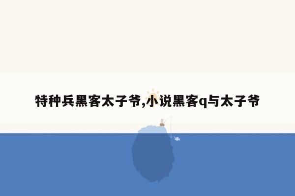 特种兵黑客太子爷,小说黑客q与太子爷