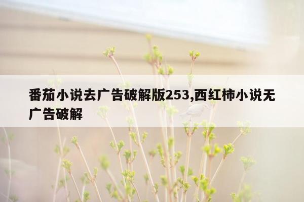 番茄小说去广告破解版253,西红柿小说无广告破解