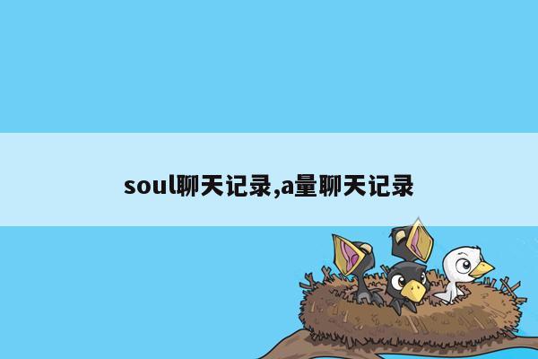 soul聊天记录,a量聊天记录