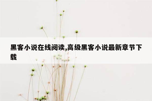 黑客小说在线阅读,高级黑客小说最新章节下载