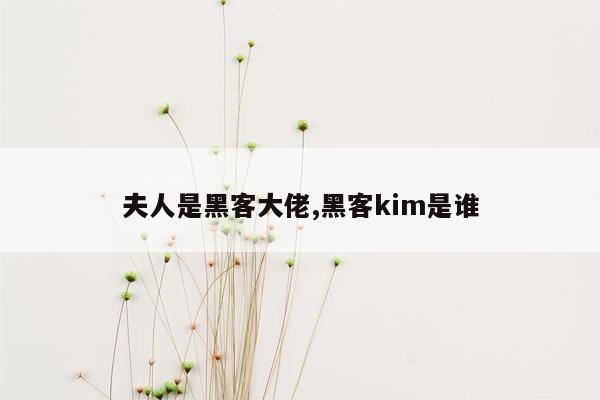 夫人是黑客大佬,黑客kim是谁