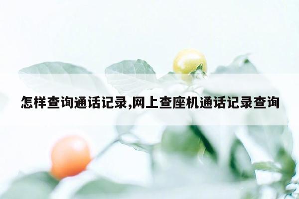 怎样查询通话记录,网上查座机通话记录查询