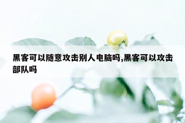 黑客可以随意攻击别人电脑吗,黑客可以攻击部队吗