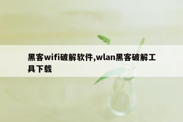 黑客wifi破解软件,wlan黑客破解工具下载