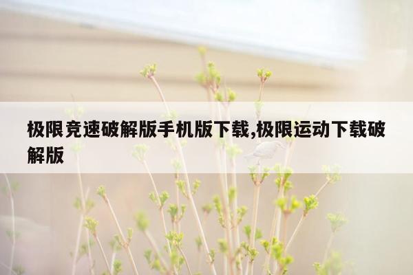 极限竞速破解版手机版下载,极限运动下载破解版