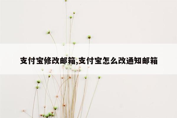 支付宝修改邮箱,支付宝怎么改通知邮箱