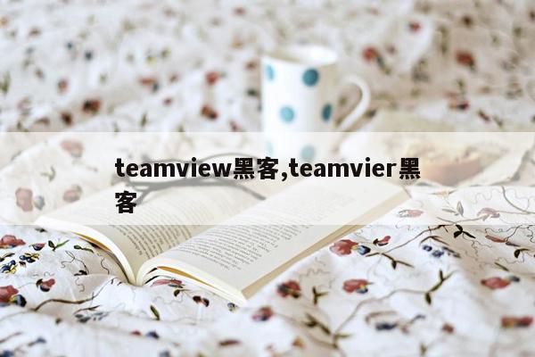 teamview黑客,teamvier黑客