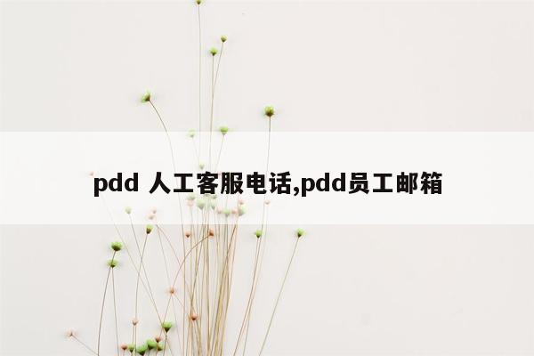 pdd 人工客服电话,pdd员工邮箱