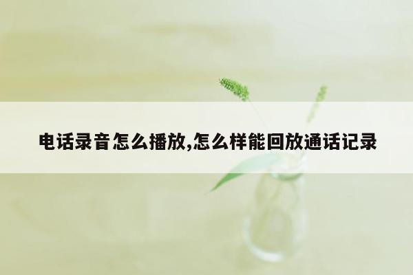 电话录音怎么播放,怎么样能回放通话记录