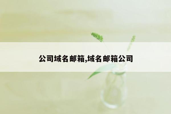 公司域名邮箱,域名邮箱公司