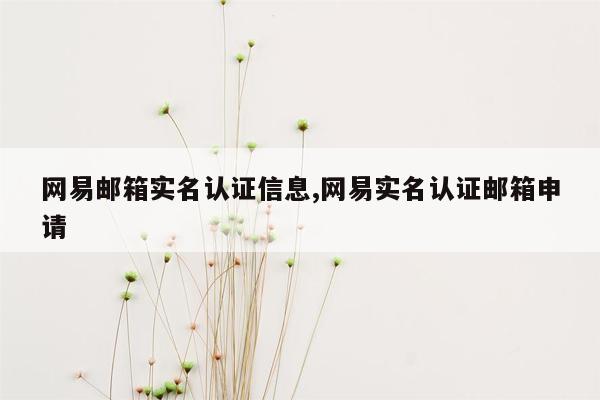 网易邮箱实名认证信息,网易实名认证邮箱申请