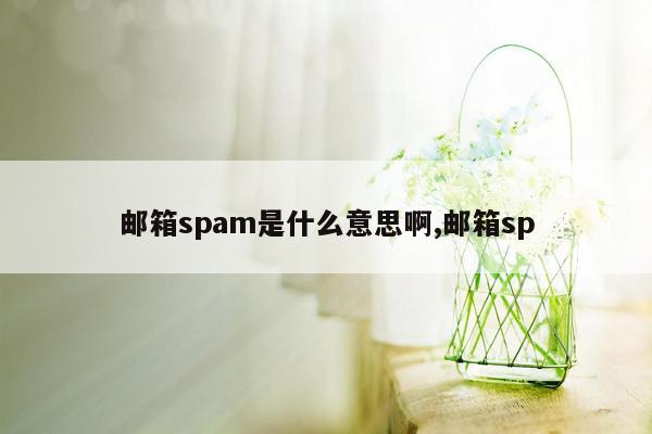 邮箱spam是什么意思啊,邮箱sp