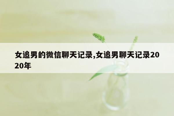 女追男的微信聊天记录,女追男聊天记录2020年