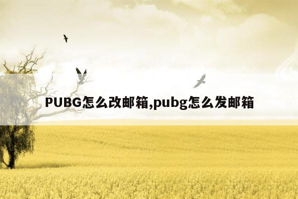 PUBG怎么改邮箱,pubg怎么发邮箱