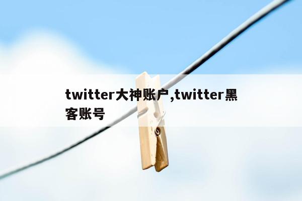 twitter大神账户,twitter黑客账号