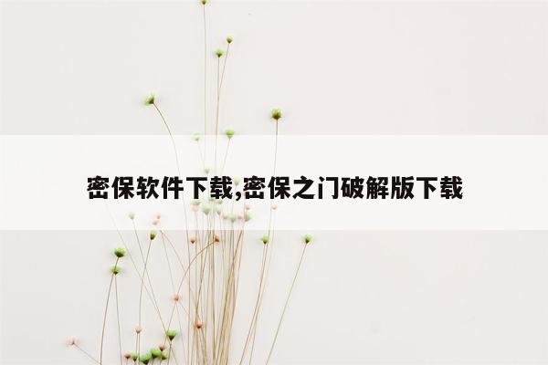 密保软件下载,密保之门破解版下载