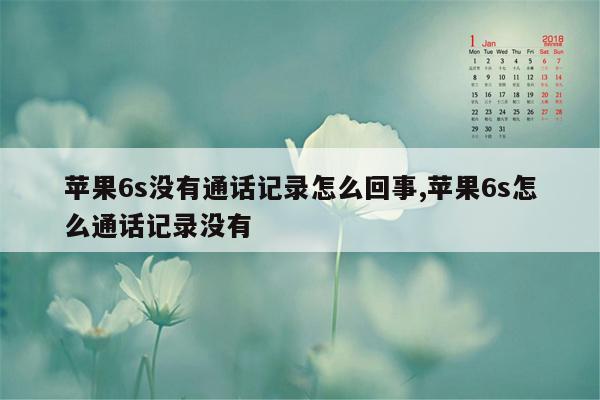 苹果6s没有通话记录怎么回事,苹果6s怎么通话记录没有