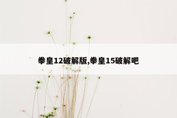 拳皇12破解版,拳皇15破解吧