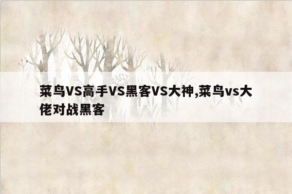 菜鸟VS高手VS黑客VS大神,菜鸟vs大佬对战黑客