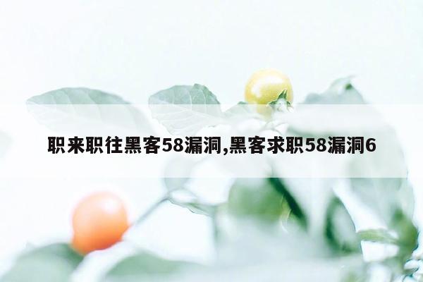 职来职往黑客58漏洞,黑客求职58漏洞6