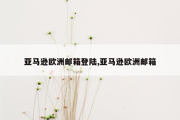 亚马逊欧洲邮箱登陆,亚马逊欧洲邮箱