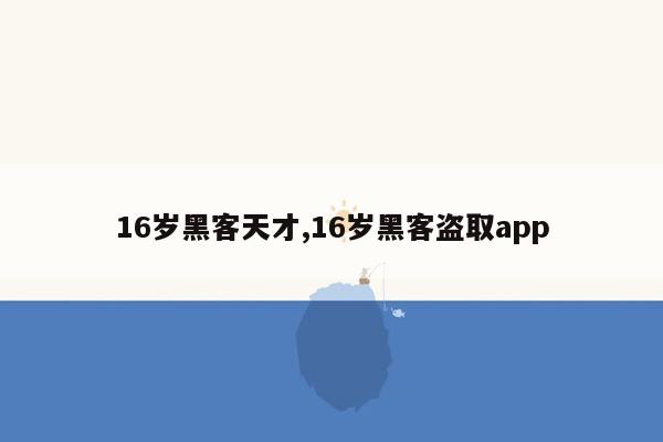 16岁黑客天才,16岁黑客盗取app