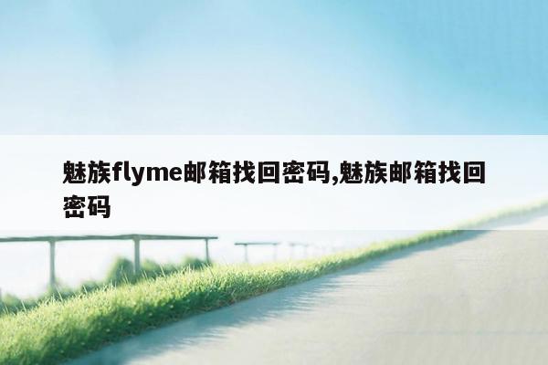 魅族flyme邮箱找回密码,魅族邮箱找回密码