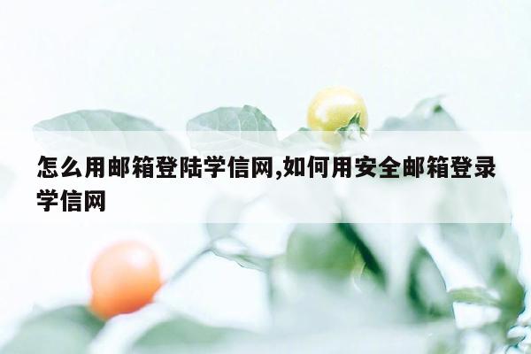 怎么用邮箱登陆学信网,如何用安全邮箱登录学信网