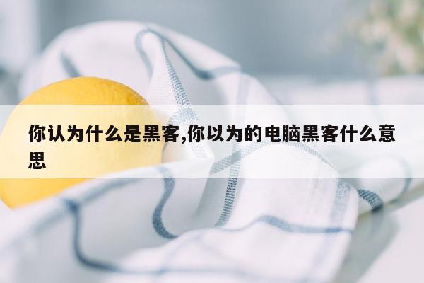 你认为什么是黑客,你以为的电脑黑客什么意思