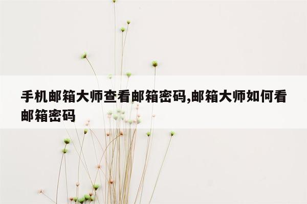 手机邮箱大师查看邮箱密码,邮箱大师如何看邮箱密码