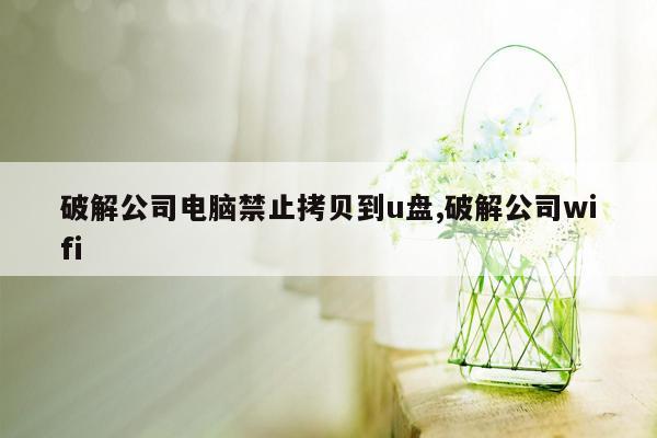 破解公司电脑禁止拷贝到u盘,破解公司wifi