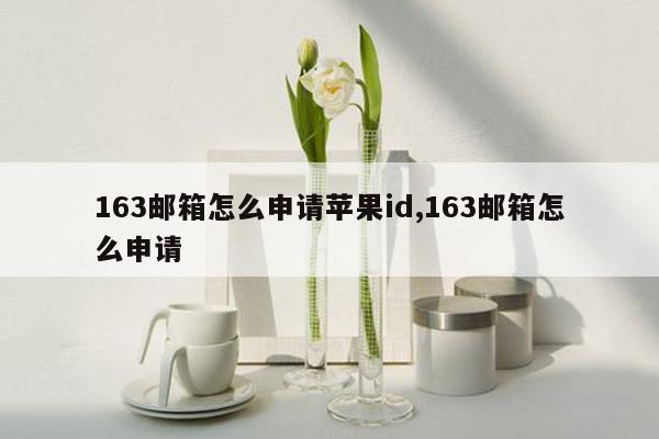 163邮箱怎么申请苹果id,163邮箱怎么申请