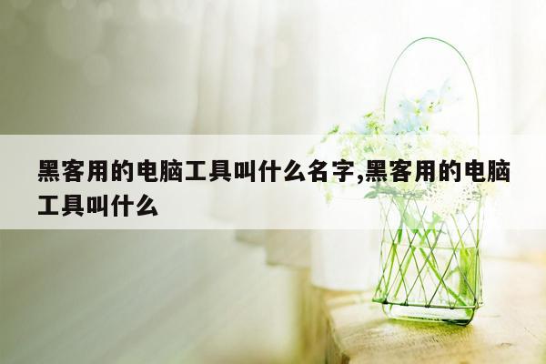 黑客用的电脑工具叫什么名字,黑客用的电脑工具叫什么