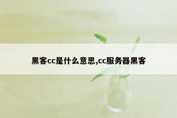 黑客cc是什么意思,cc服务器黑客