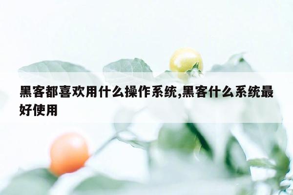 黑客都喜欢用什么操作系统,黑客什么系统最好使用