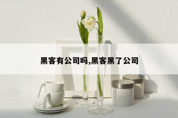 黑客有公司吗,黑客黑了公司