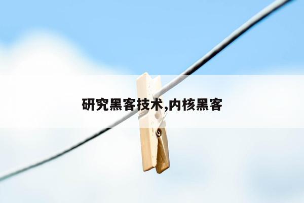 研究黑客技术,内核黑客