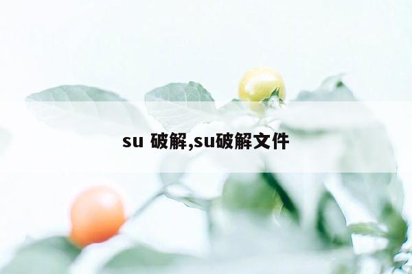 su 破解,su破解文件