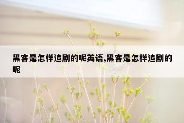 黑客是怎样追剧的呢英语,黑客是怎样追剧的呢