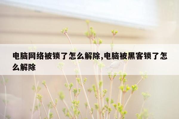 电脑网络被锁了怎么解除,电脑被黑客锁了怎么解除