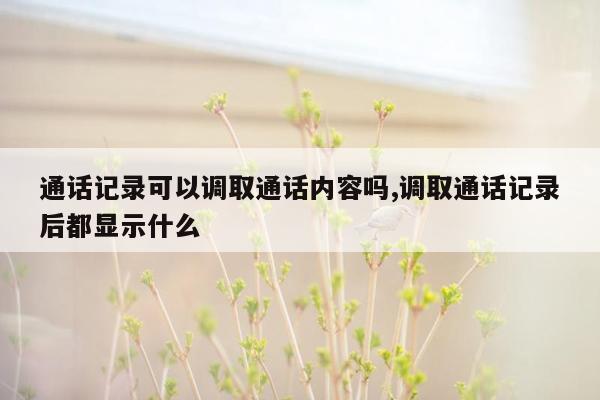 通话记录可以调取通话内容吗,调取通话记录后都显示什么