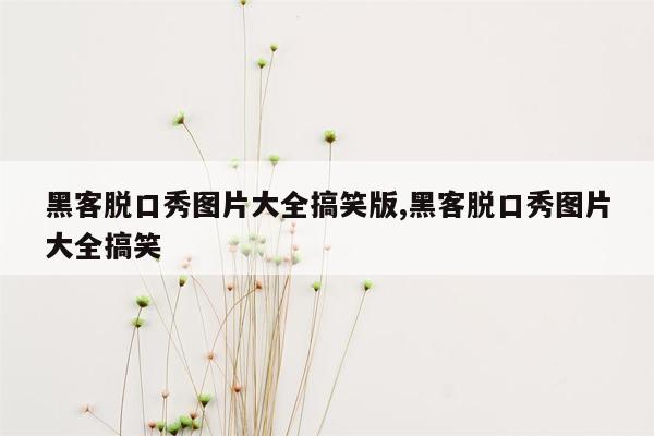 黑客脱口秀图片大全搞笑版,黑客脱口秀图片大全搞笑