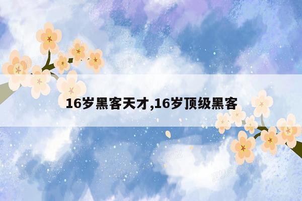 16岁黑客天才,16岁顶级黑客