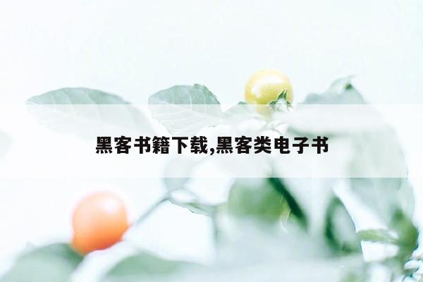 黑客书籍下载,黑客类电子书