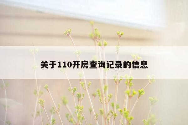 关于110开房查询记录的信息