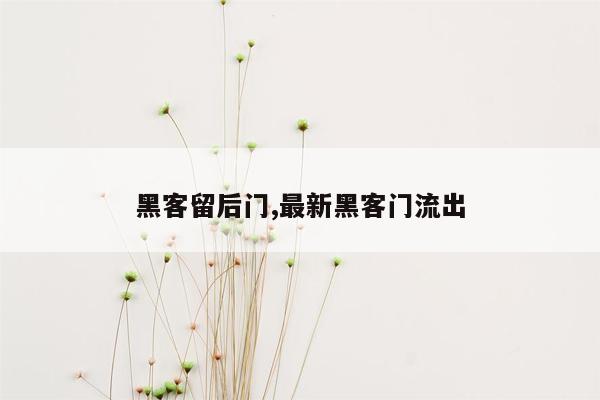 黑客留后门,最新黑客门流出