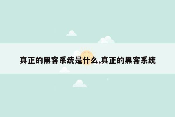 真正的黑客系统是什么,真正的黑客系统