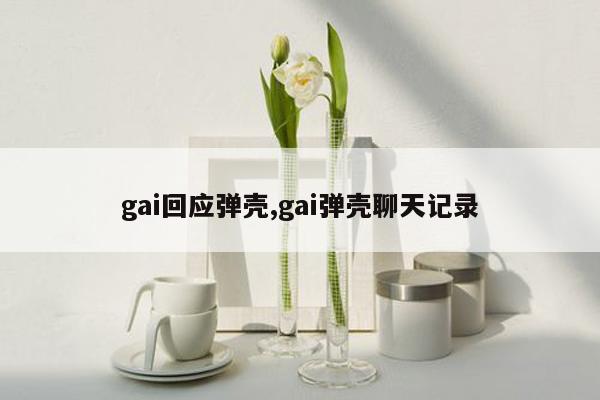 gai回应弹壳,gai弹壳聊天记录