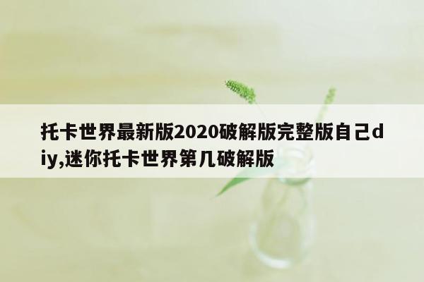 托卡世界最新版2020破解版完整版自己diy,迷你托卡世界第几破解版